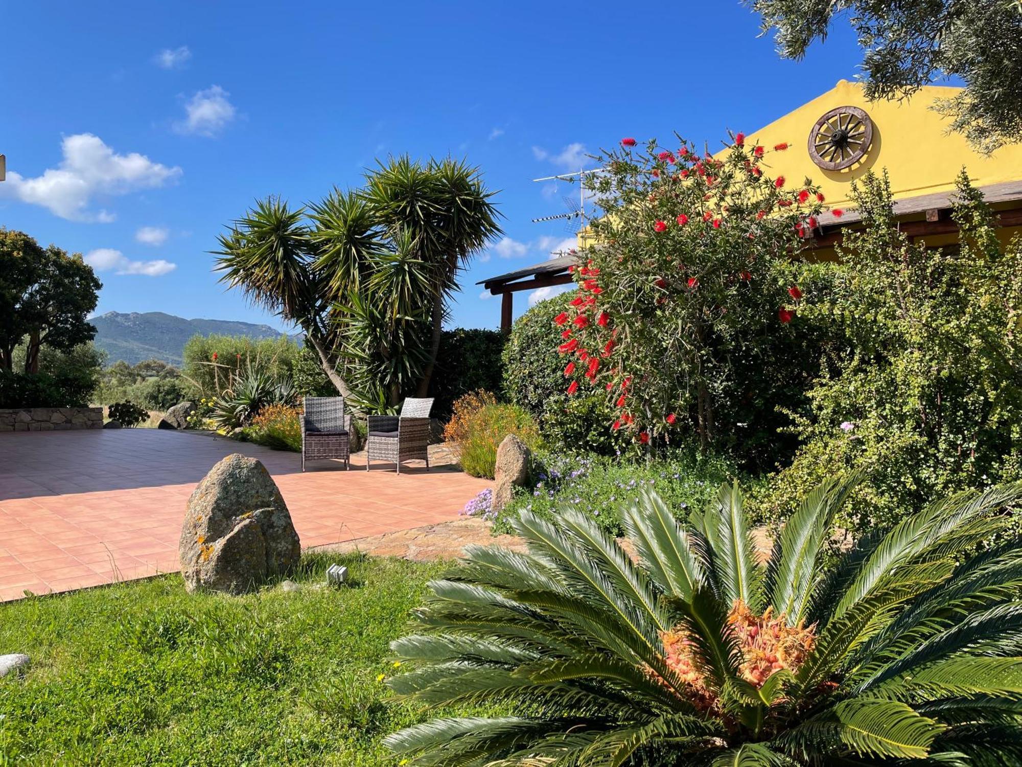 Agriturismo Campesi Casale Tra Le Vigne Aglientu Eksteriør bilde