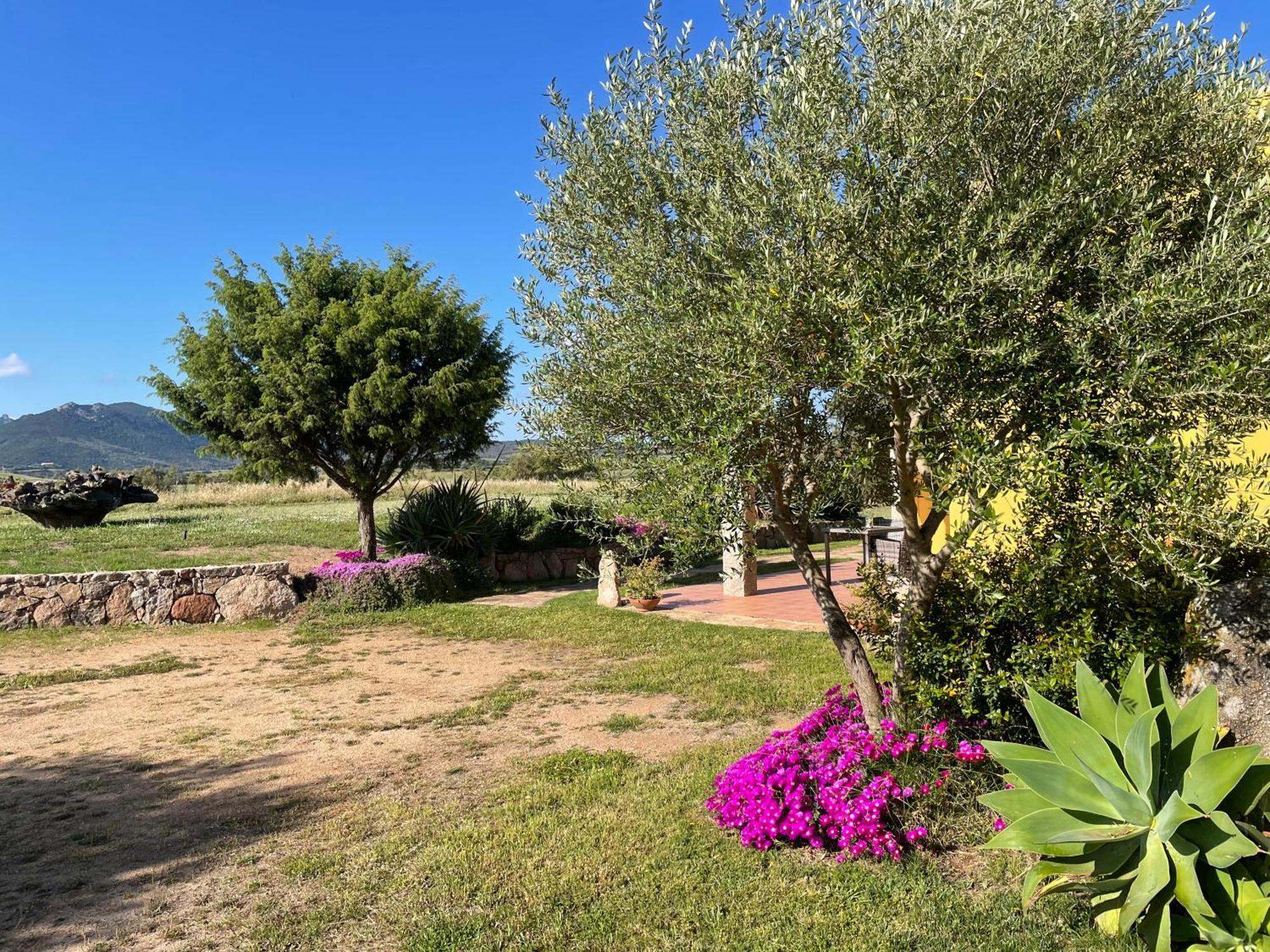 Agriturismo Campesi Casale Tra Le Vigne Aglientu Eksteriør bilde