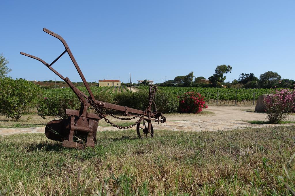 Agriturismo Campesi Casale Tra Le Vigne Aglientu Eksteriør bilde
