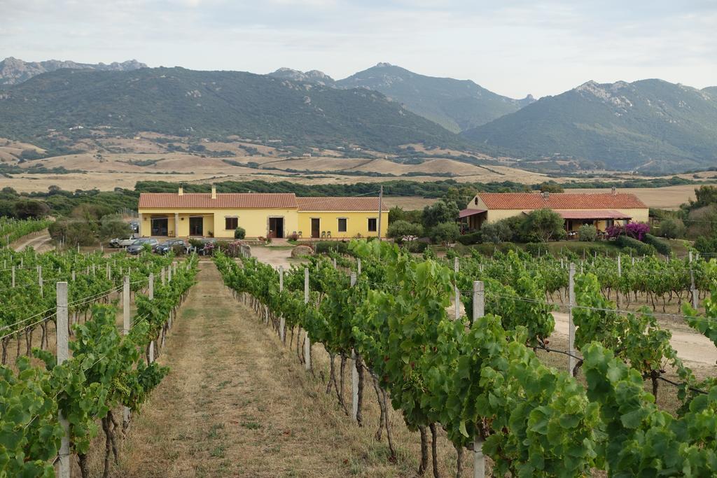 Agriturismo Campesi Casale Tra Le Vigne Aglientu Eksteriør bilde
