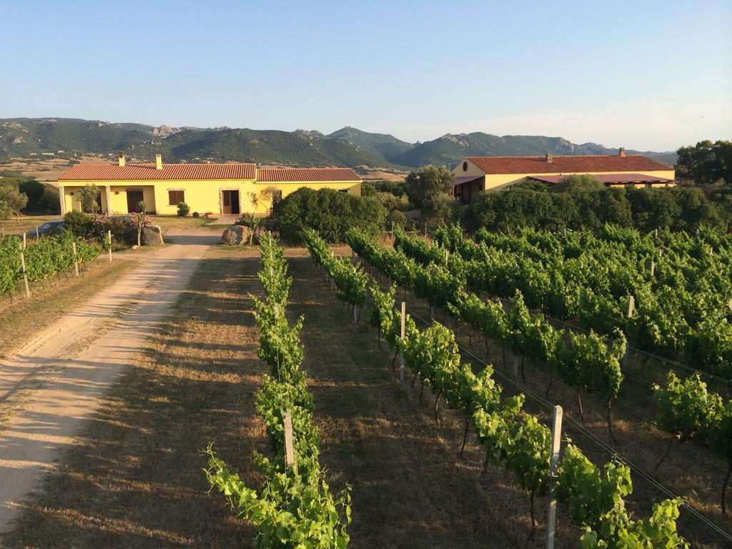 Agriturismo Campesi Casale Tra Le Vigne Aglientu Eksteriør bilde