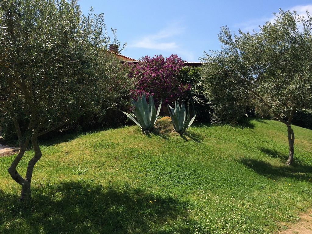 Agriturismo Campesi Casale Tra Le Vigne Aglientu Eksteriør bilde