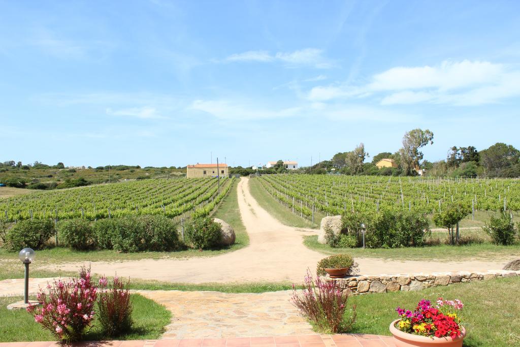 Agriturismo Campesi Casale Tra Le Vigne Aglientu Eksteriør bilde