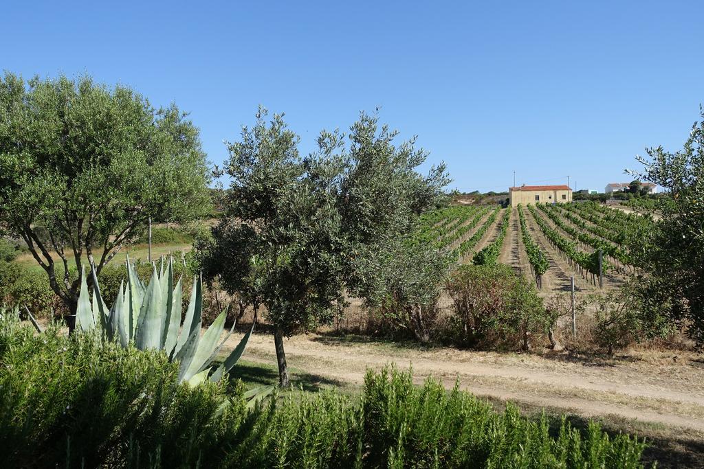 Agriturismo Campesi Casale Tra Le Vigne Aglientu Eksteriør bilde