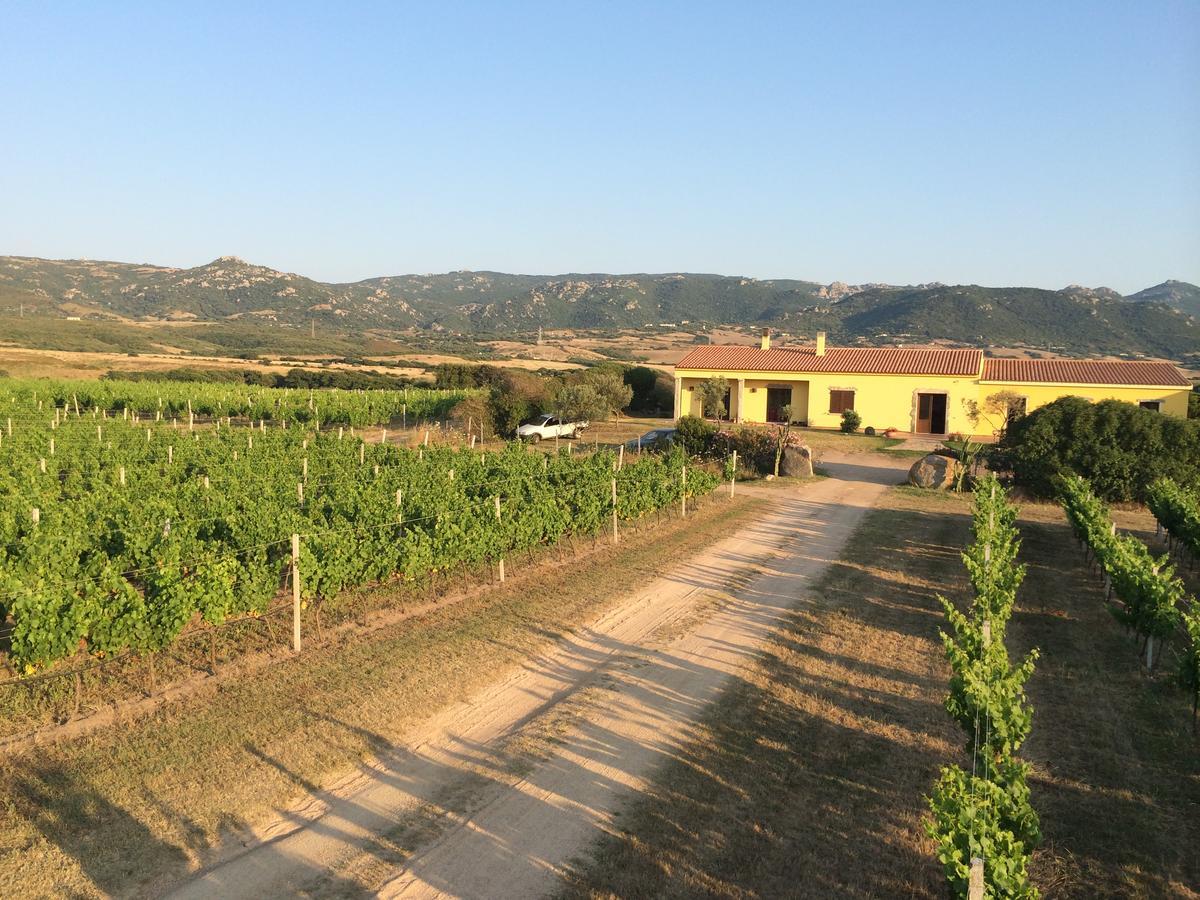 Agriturismo Campesi Casale Tra Le Vigne Aglientu Eksteriør bilde