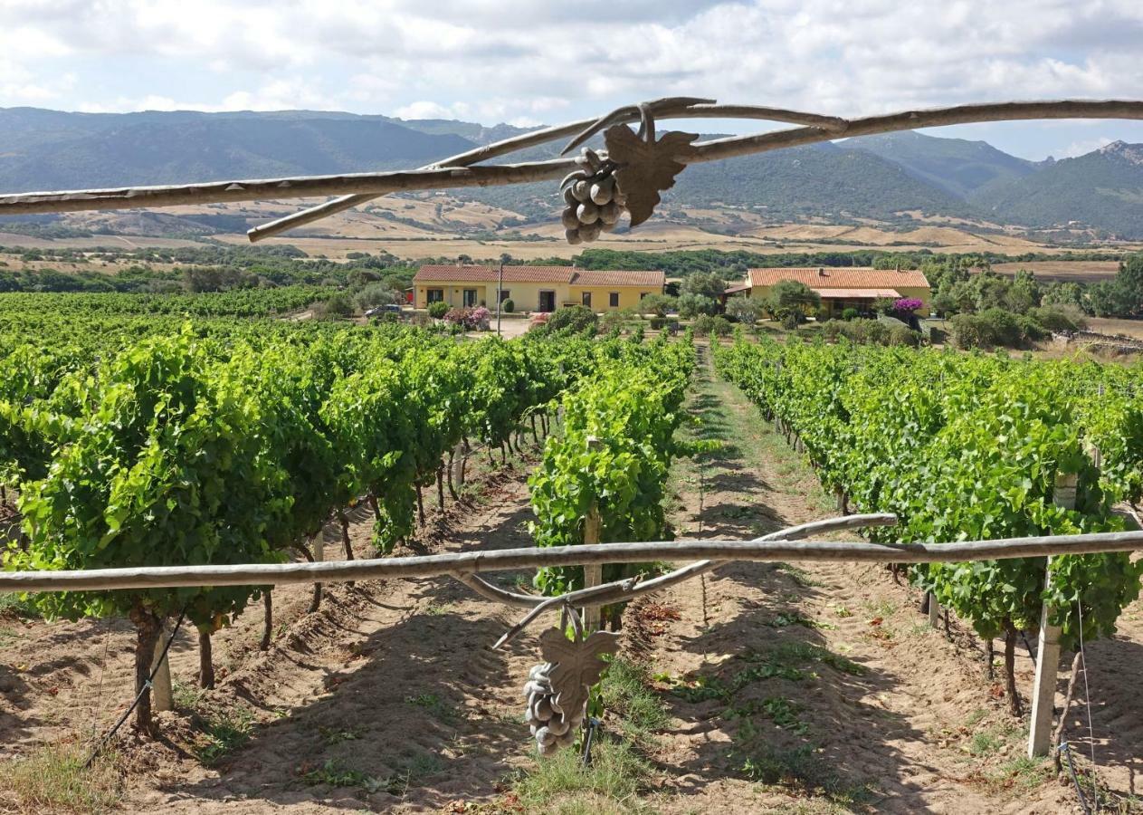 Agriturismo Campesi Casale Tra Le Vigne Aglientu Eksteriør bilde