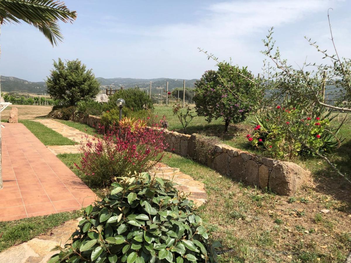 Agriturismo Campesi Casale Tra Le Vigne Aglientu Eksteriør bilde